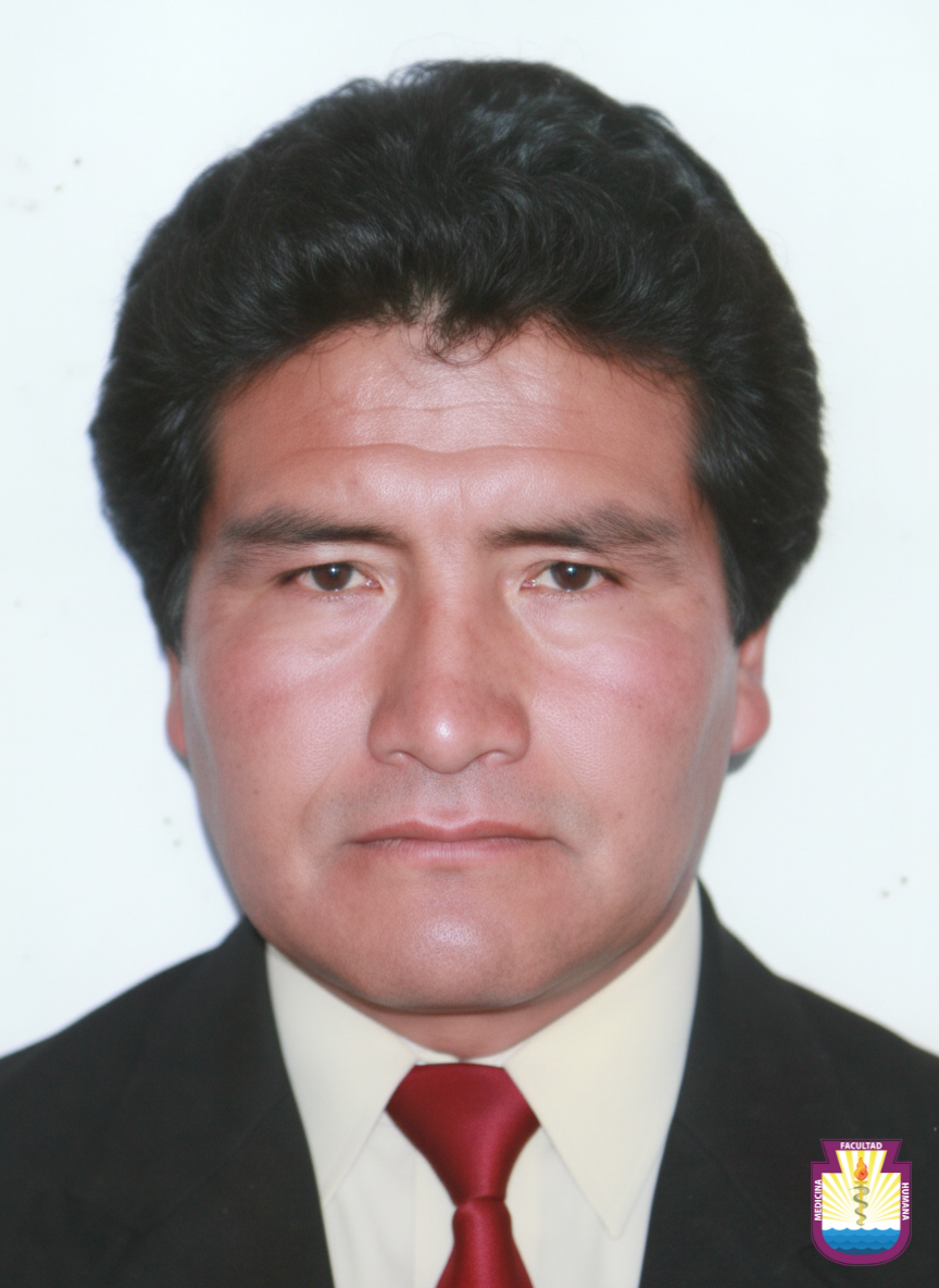 MOLLEAPAZA MAMANI ROBERT LALO